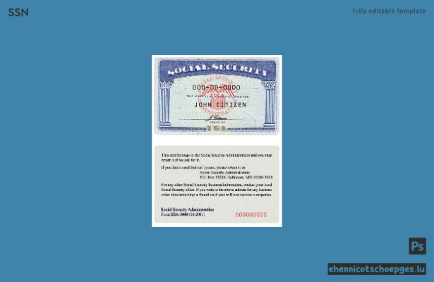 USA SSN Scan 2 Dateien PSD Beispielvorschau